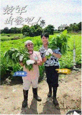 假面骑士剧场版观影顺序资讯配图